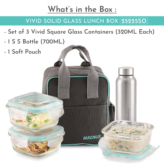 Magnus Vivid Glass Lunch Box with Vertical Pouch and Fixed Clip, Includes 2 Square Airtight, Leakproof, Microwave Safe Borosilicate Glass Containers, 320 ML Each